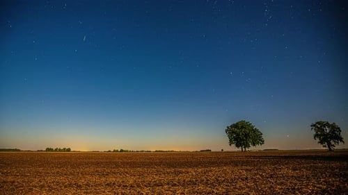 Starry twilight sky over a dark, open plowed field with two trees