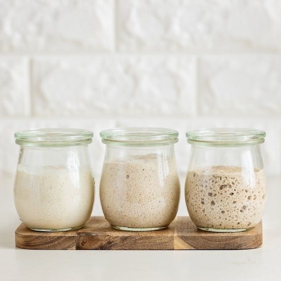 Three glass jars showing different stages of sourdough starter fermentation